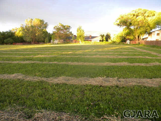 343 33 Road Palisade, CO 81526 - Photo 4 of 20 Gallery Image 4