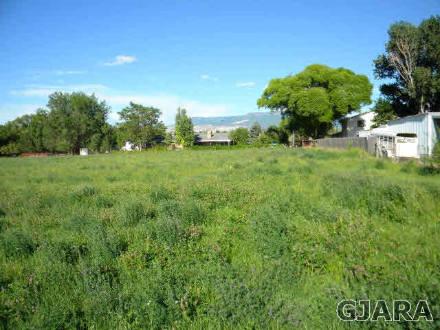 343 33 Road Palisade, CO 81526 - Photo 5 of 20 Gallery Image 5