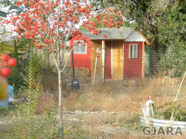 343 33 Road Palisade, CO 81526 - Photo 7 of 20 Gallery Image 7