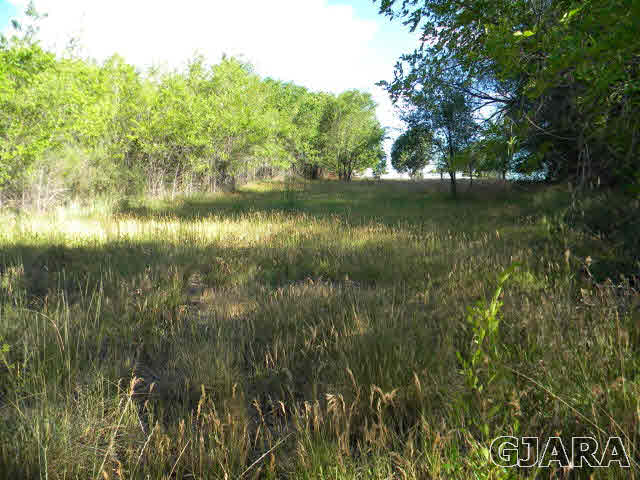 343 33 Road Palisade, CO 81526 - Photo 8 of 20 Gallery Image 8