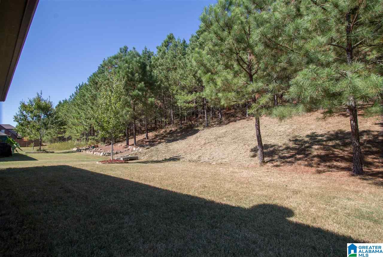 5449 Parkside Circle Birmingham, AL 35244 - Photo 44 of 44