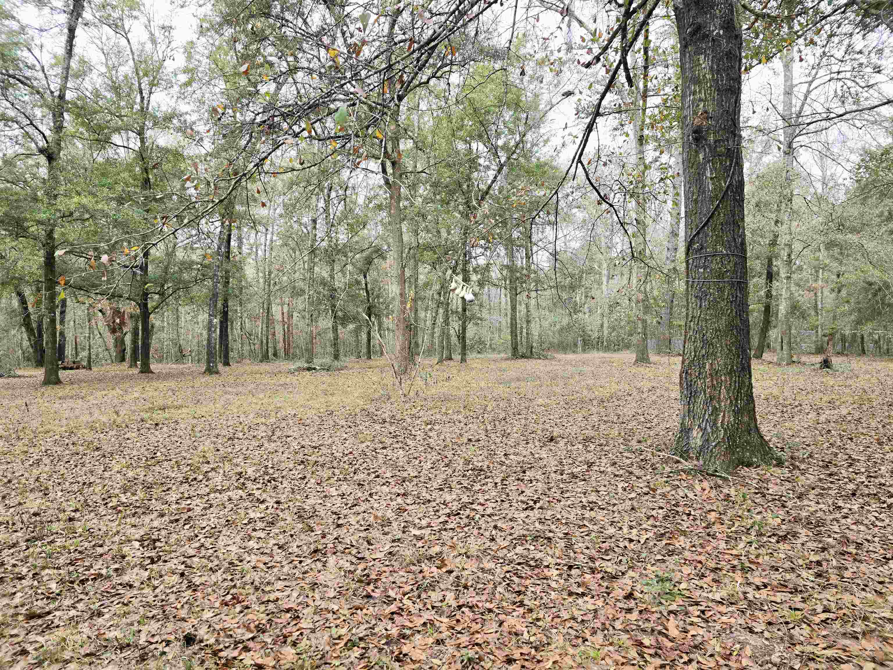 370 Mathis Drive Havana, FL 32333 - Photo 35 of 40