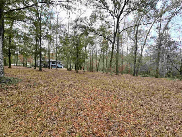 $225,000 | 370 Mathis Drive, Havana, FL 32333