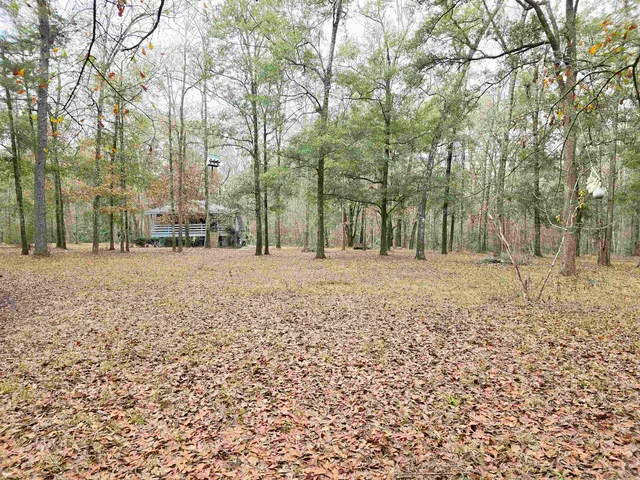 $225,000 | 370 Mathis Drive, Havana, FL 32333