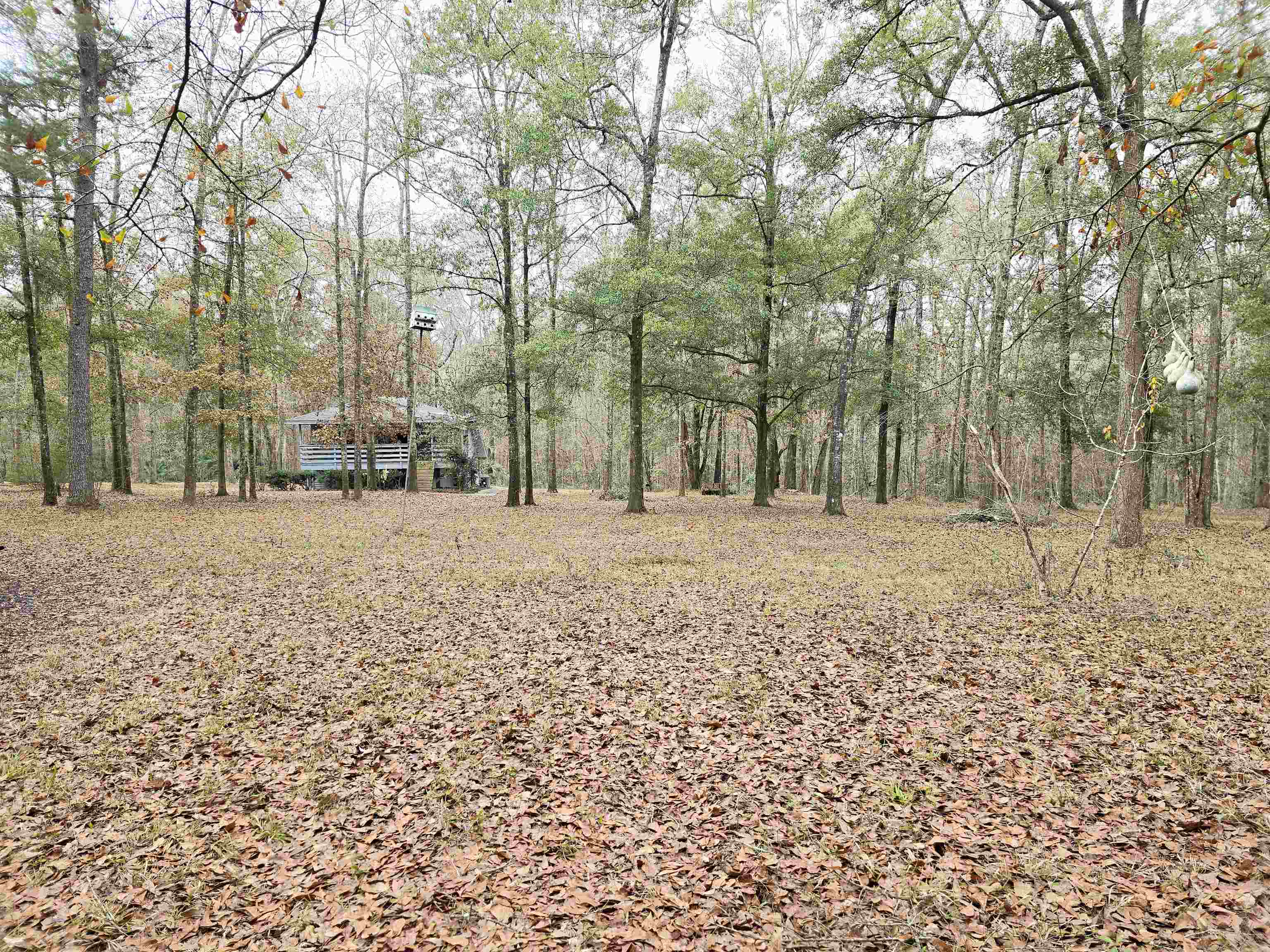 370 Mathis Drive Havana, FL 32333 - Photo 37 of 40