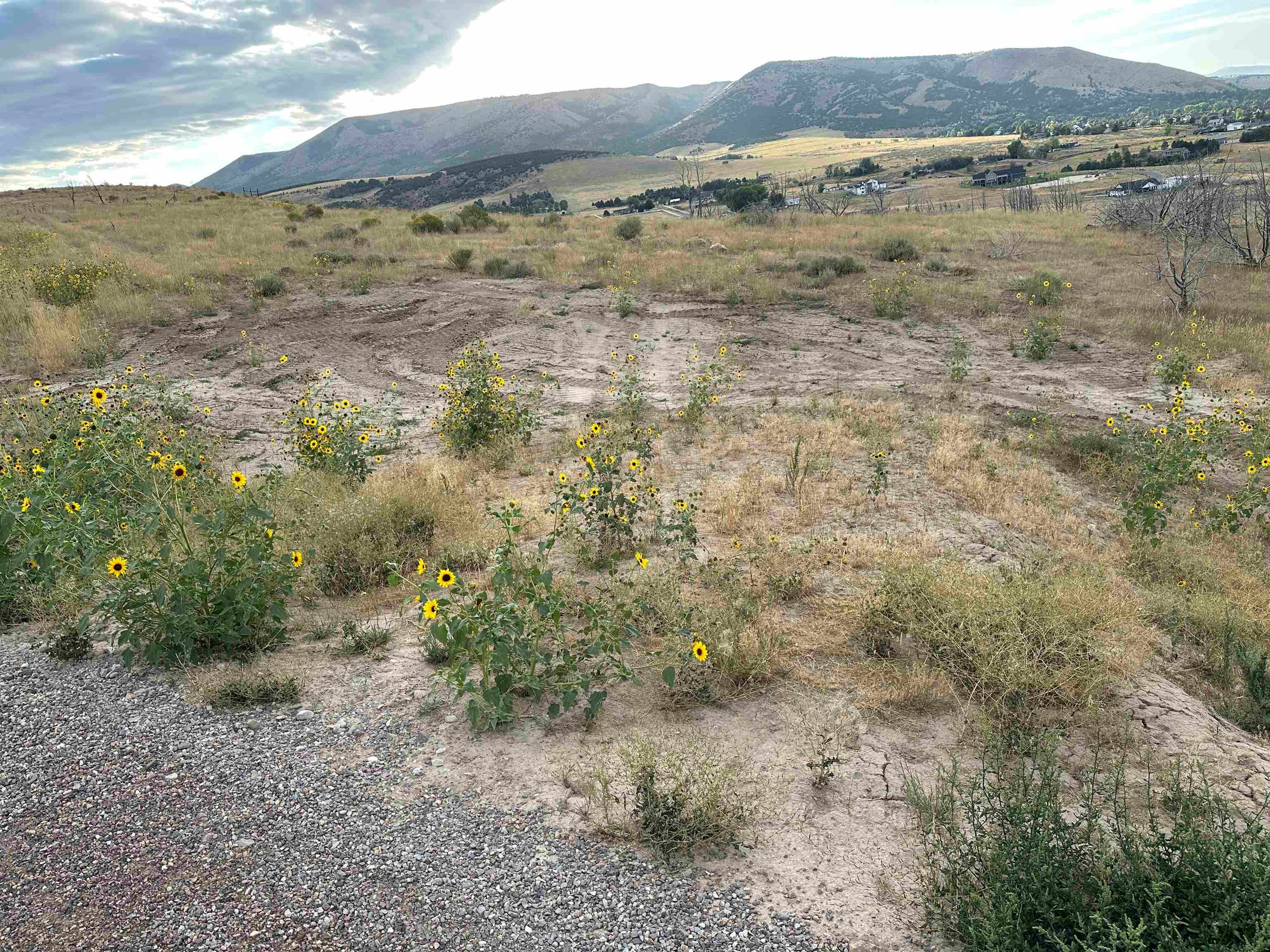 Lot 3 Ridgeview Lane Pocatello, ID 83204 - Photo 9 of 13 Gallery Image 9