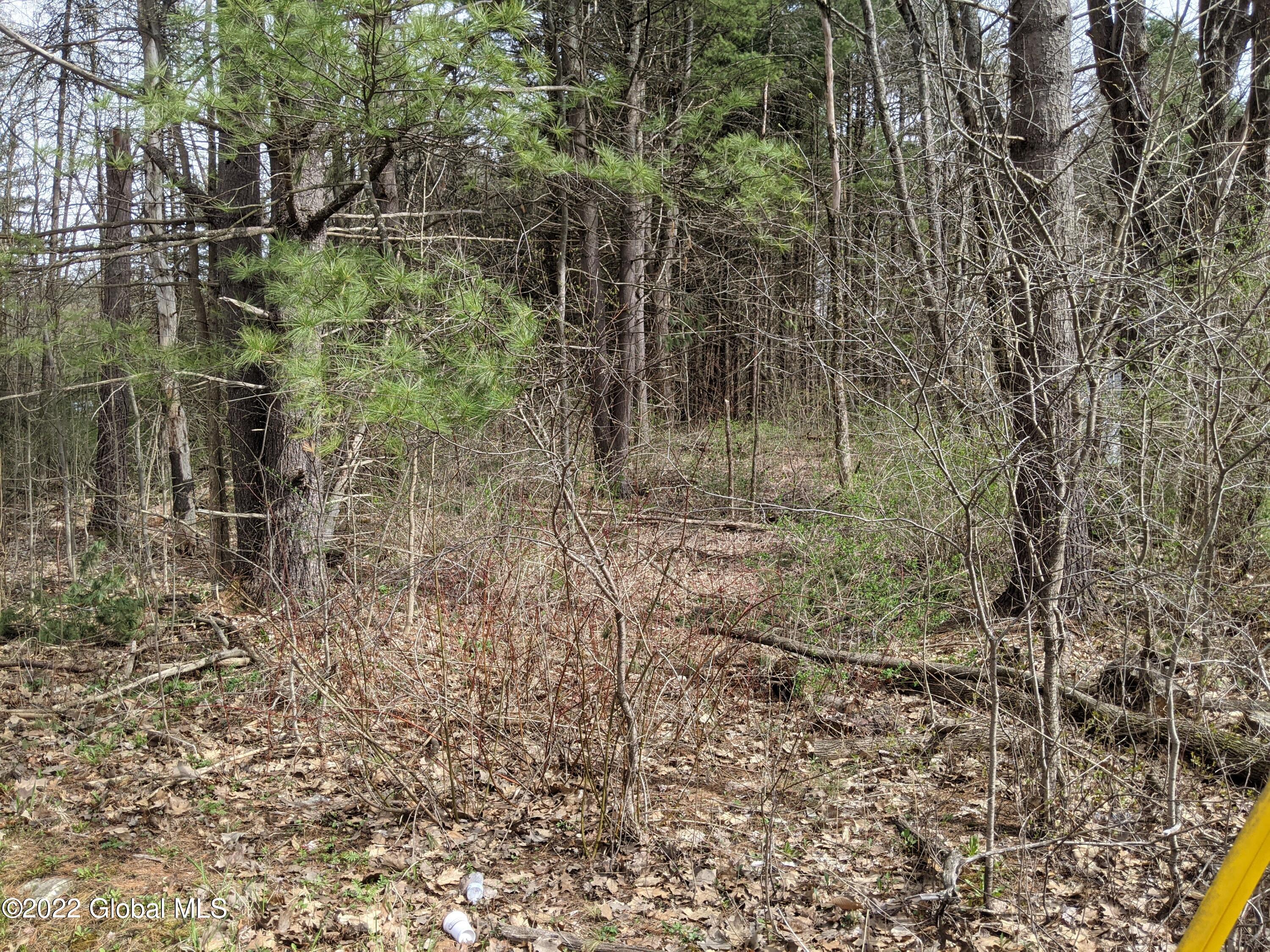6 Union Mills Road Broadalbin, NY 12025 - Photo 2 of 8 PXL_20220503_193523040