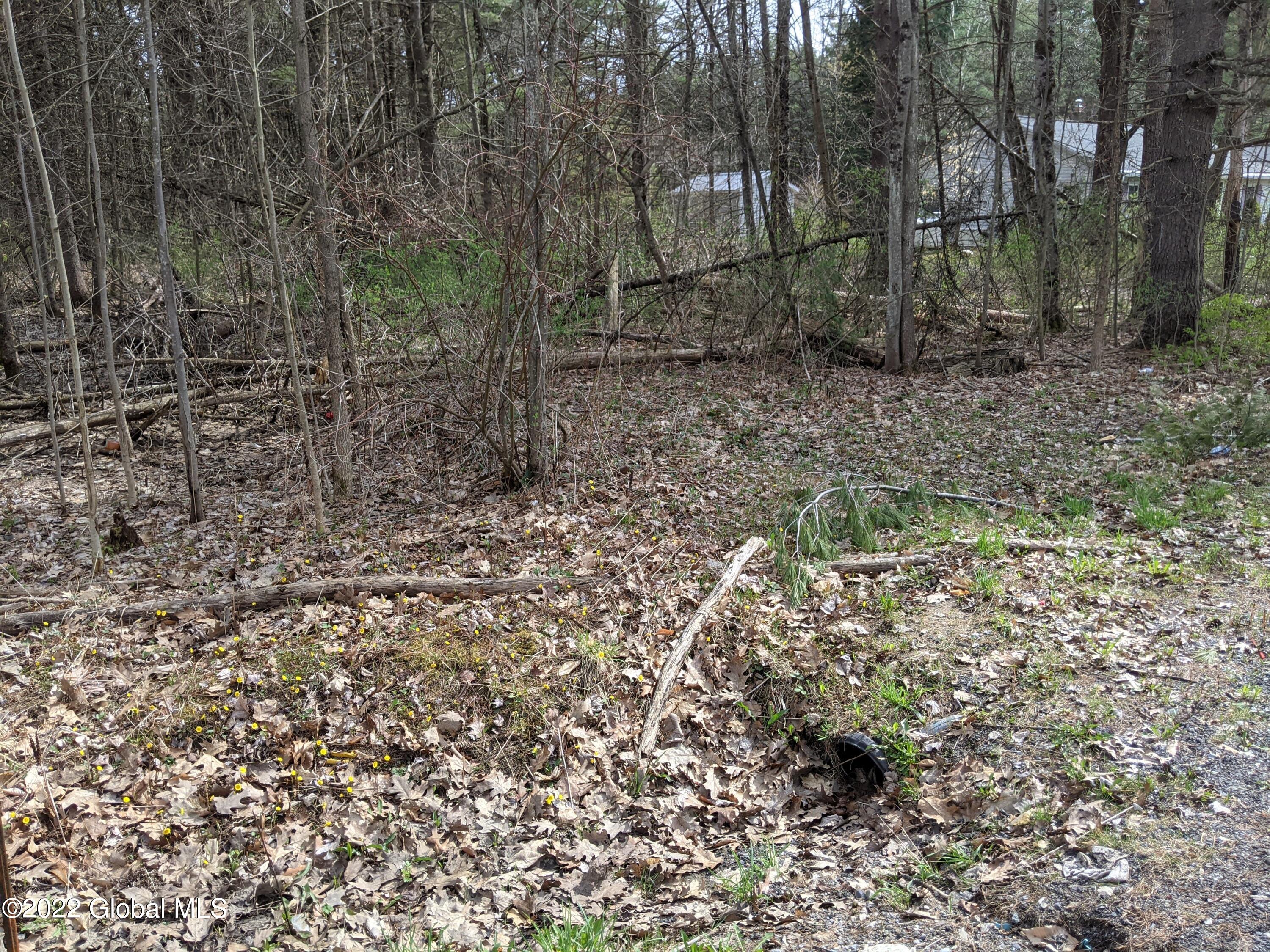 6 Union Mills Road Broadalbin, NY 12025 - Photo 4 of 8 PXL_20220503_193613600