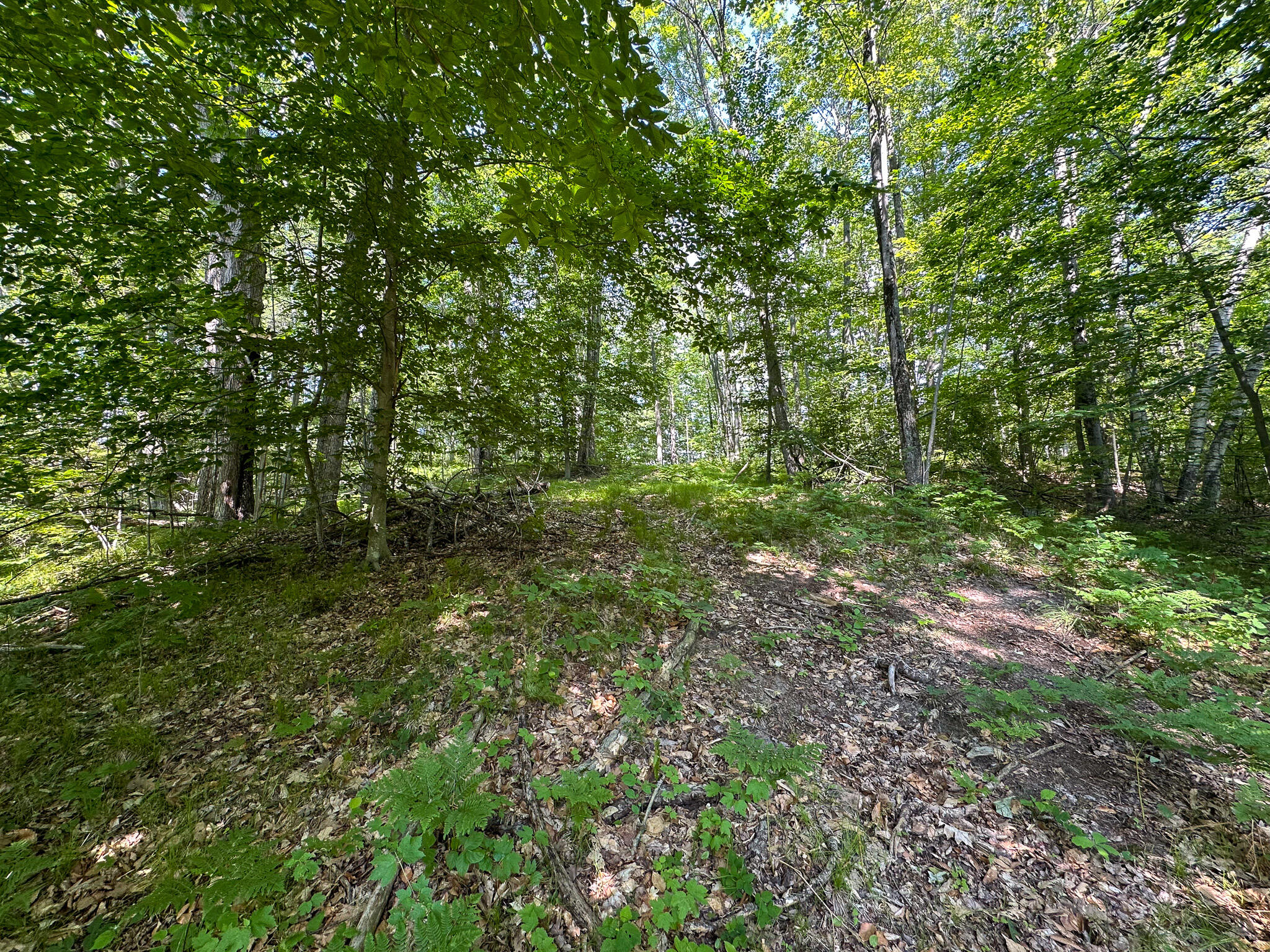 40 80th Avenue Rodney, MI 49342 - Photo 20 of 41 Hill Trail