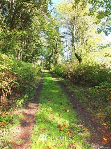 56-xx Mosquito Lake Road Deming, WA 98244 - Photo 2 of 22 Gallery Image 2