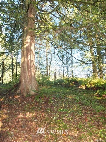 56-xx Mosquito Lake Road Deming, WA 98244 - Photo 12 of 22 Gallery Image 12