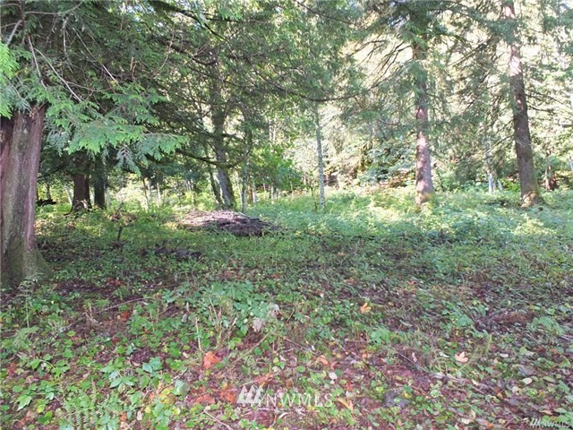 56-xx Mosquito Lake Road Deming, WA 98244 - Photo 14 of 22 Gallery Image 14