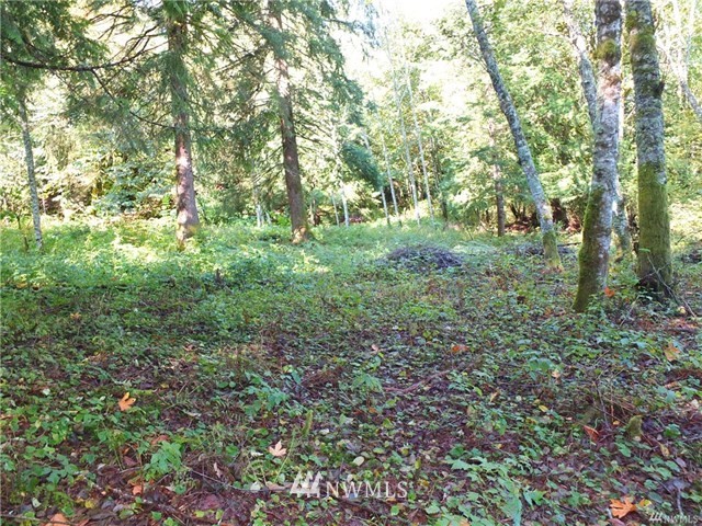 56-xx Mosquito Lake Road Deming, WA 98244 - Photo 15 of 22 Gallery Image 15