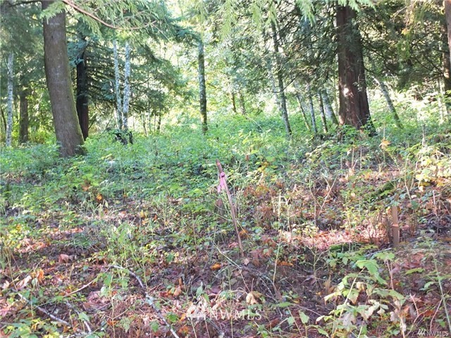 56-xx Mosquito Lake Road Deming, WA 98244 - Photo 18 of 22 Gallery Image 18