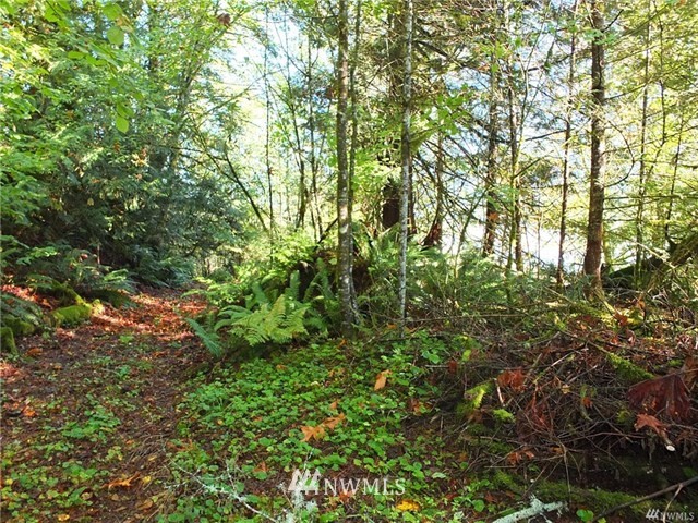 56-xx Mosquito Lake Road Deming, WA 98244 - Photo 8 of 22 Gallery Image 8