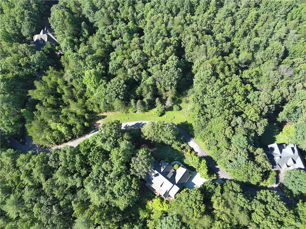 112 Links View Court Sunset, SC 29685 - Photo 4 of 9 Perched amidst a verdant landscape, this private estate boasts serene views and abundant mature trees.