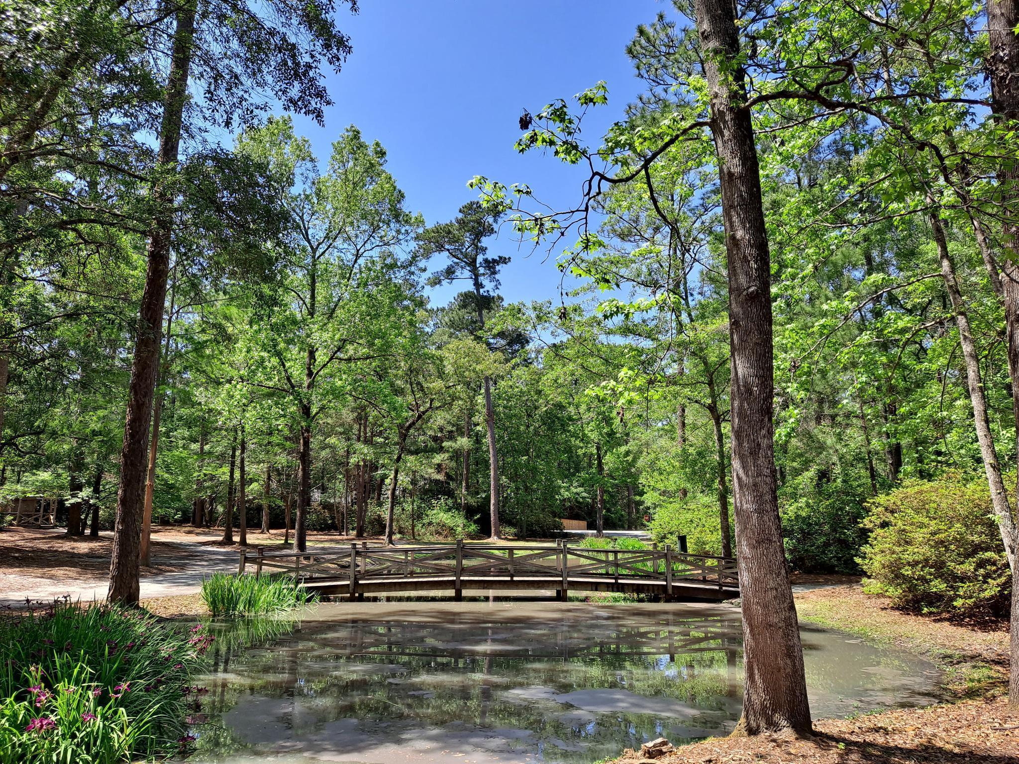 114 Reynolds Road Summerville, SC 29483 - Photo 31 of 31 114Reynolds.Park2