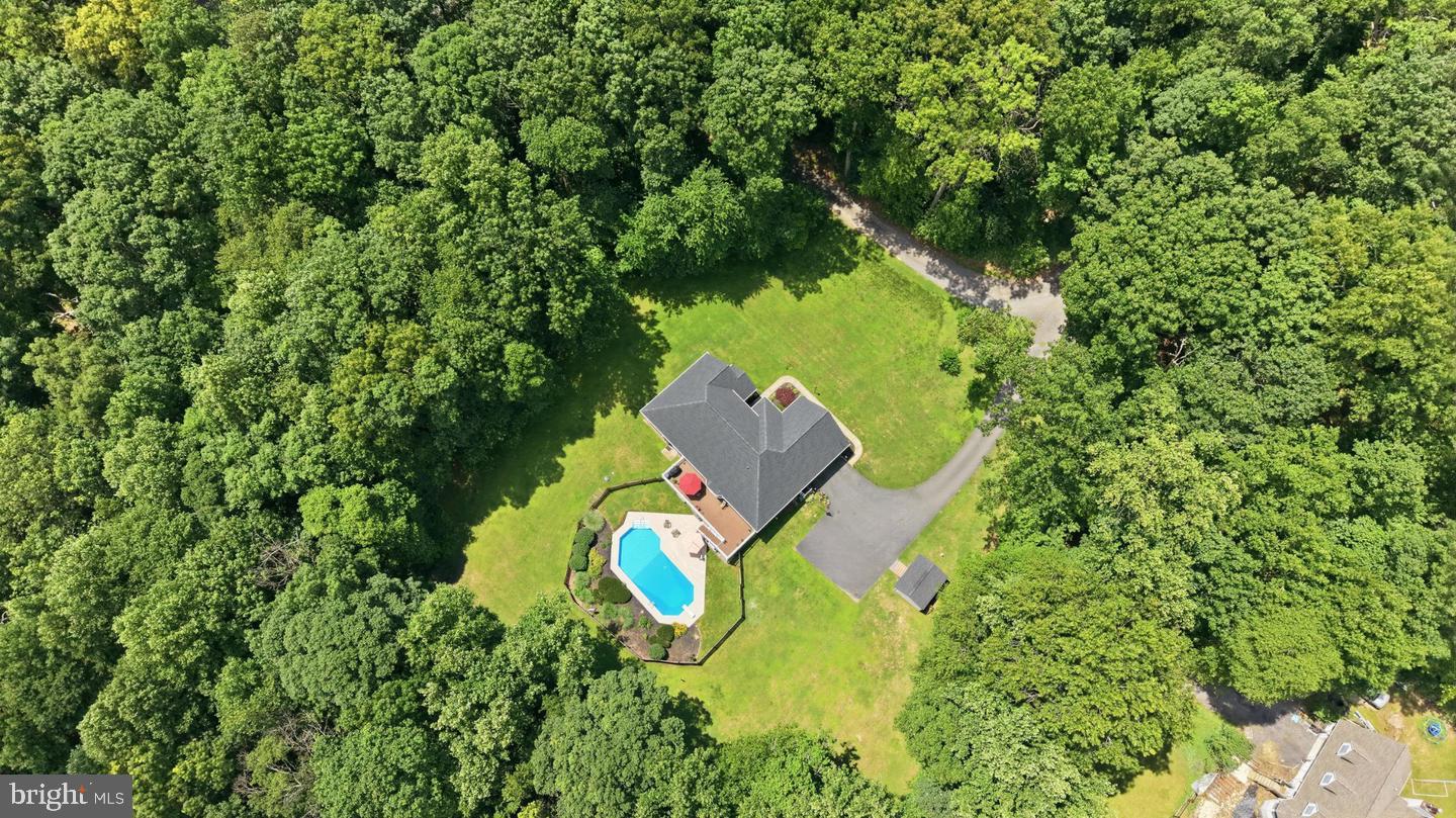 3723 Bay Road Street, MD 21154 - Photo 43 of 49 3.65 acres Property boundary well into the trees