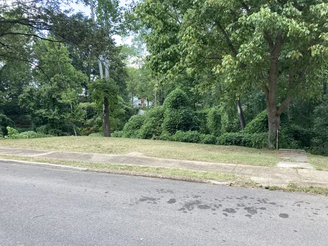 a view of a yard with a large trees