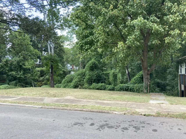 a view of a field with a trees in the background
