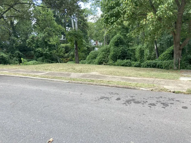 a view of a yard with a large trees