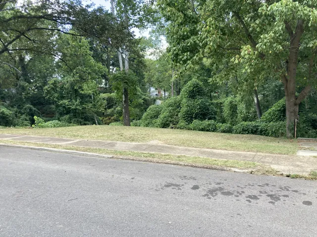 a view of a yard with a large tree