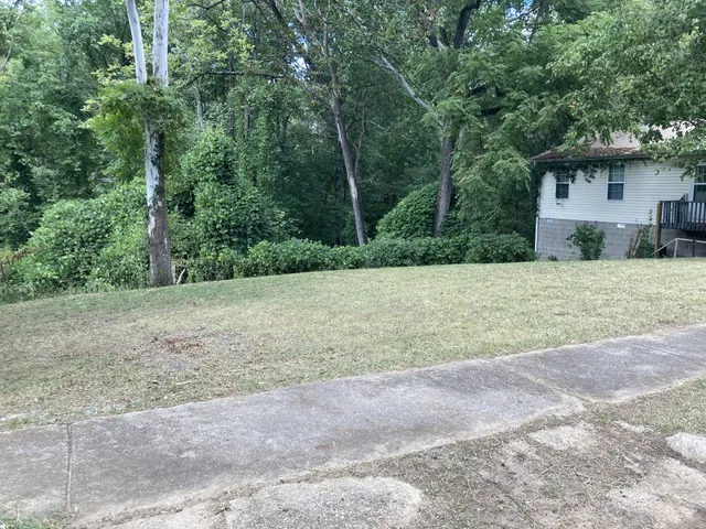 a view of a backyard with large trees
