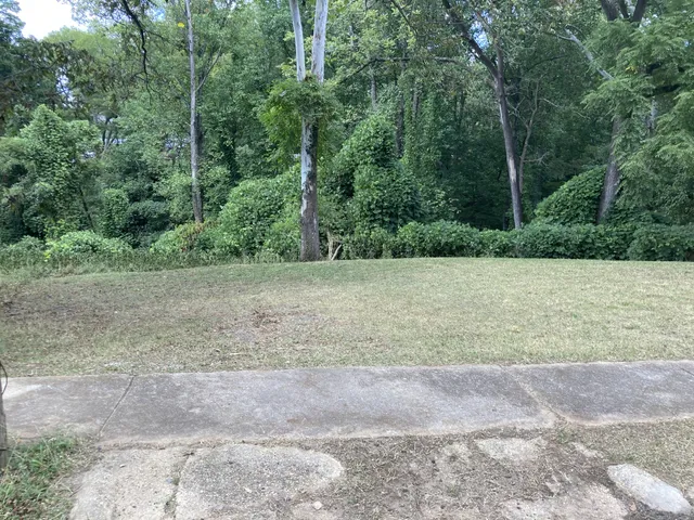 a view of a field with trees in the background