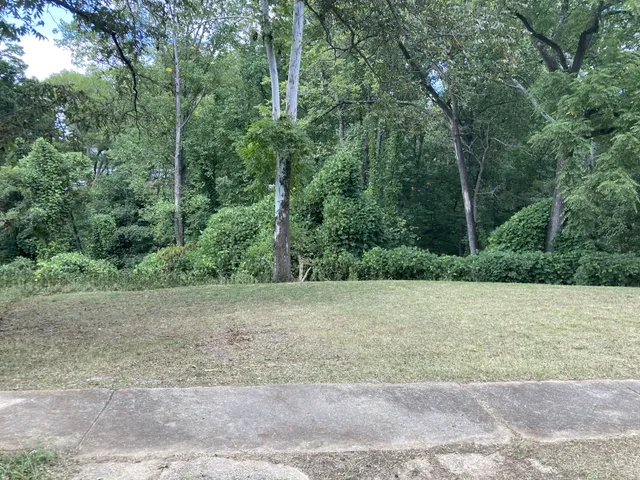 a view of a field with trees in the background