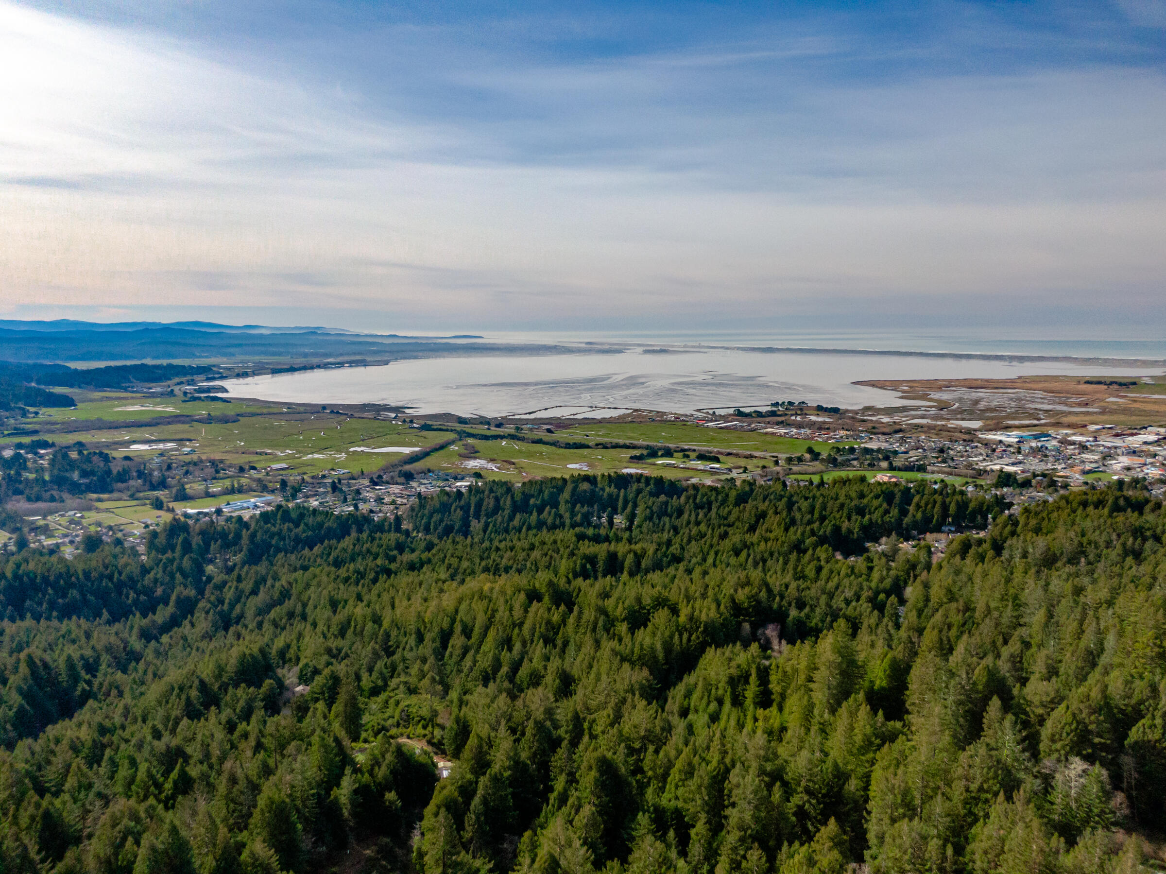 1272 Fickle Hill Road Arcata, CA 95521 - Photo 9 of 57 Drone view to bay