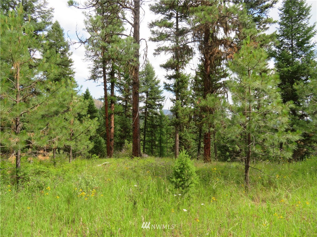 0 Old W Curlew Lake Road Republic, WA 99166 - Photo 1 of 22 Gallery Image 1