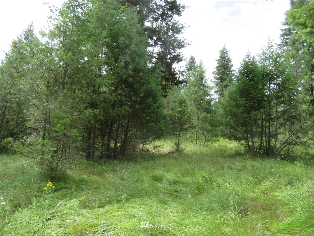 0 Old W Curlew Lake Road Republic, WA 99166 - Photo 2 of 22 Gallery Image 2