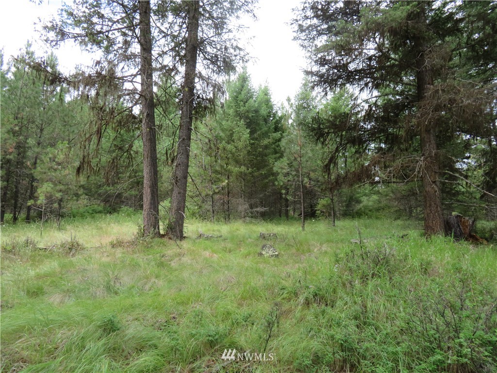 0 Old W Curlew Lake Road Republic, WA 99166 - Photo 11 of 22 Gallery Image 11