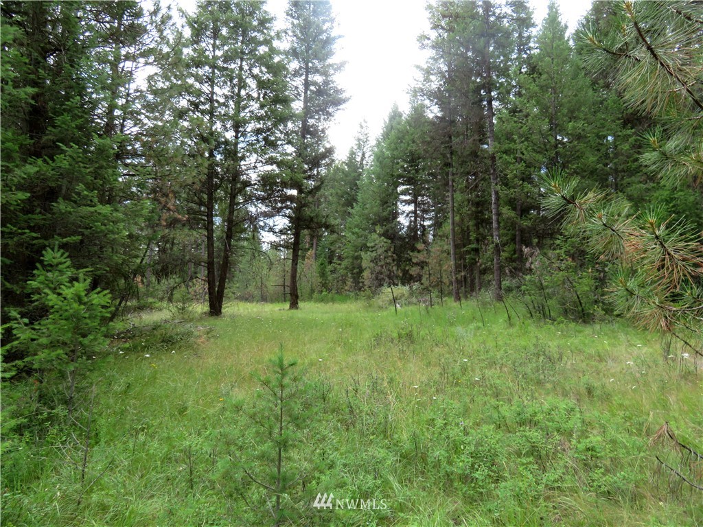 0 Old W Curlew Lake Road Republic, WA 99166 - Photo 12 of 22 Gallery Image 12