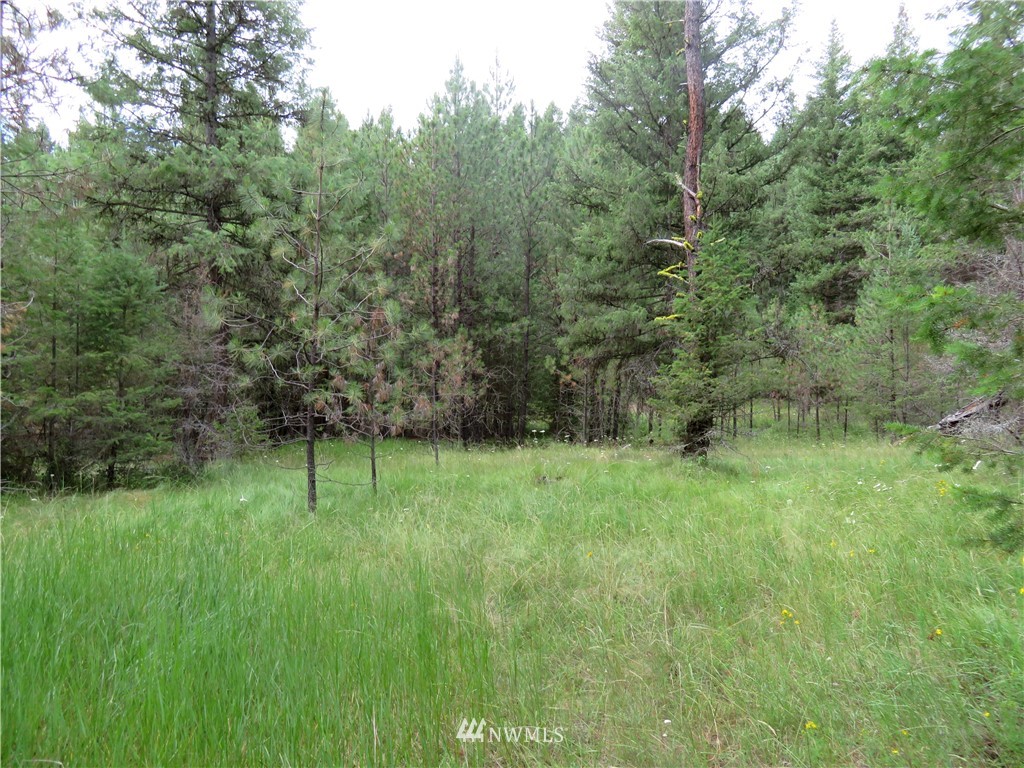 0 Old W Curlew Lake Road Republic, WA 99166 - Photo 14 of 22 Gallery Image 14