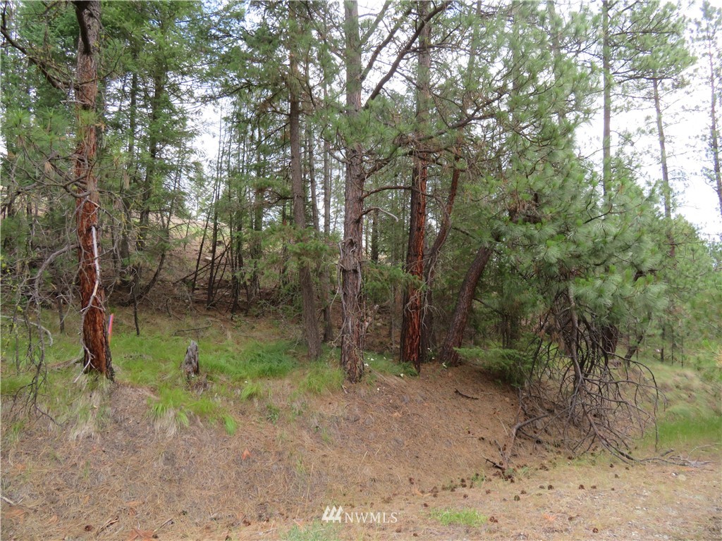 0 Old W Curlew Lake Road Republic, WA 99166 - Photo 15 of 22 Gallery Image 15