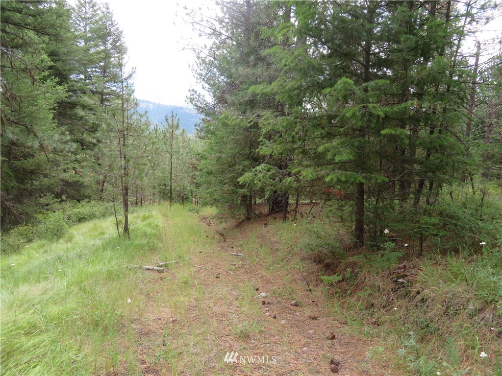 0 Old W Curlew Lake Road Republic, WA 99166 - Photo 16 of 22 Gallery Image 16
