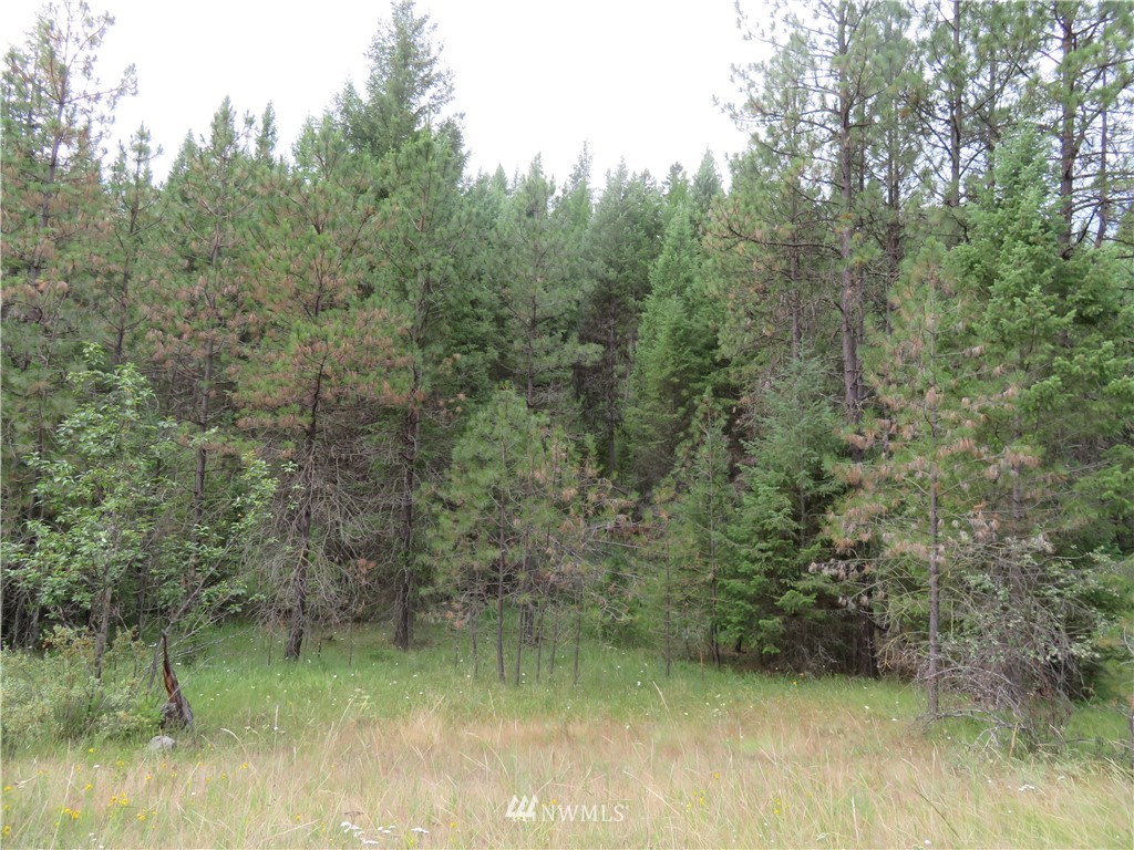 0 Old W Curlew Lake Road Republic, WA 99166 - Photo 18 of 22 Gallery Image 18