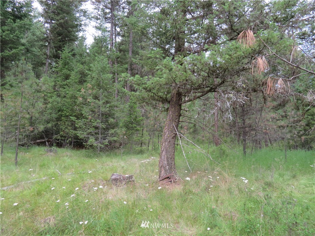 0 Old W Curlew Lake Road Republic, WA 99166 - Photo 20 of 22 Gallery Image 20