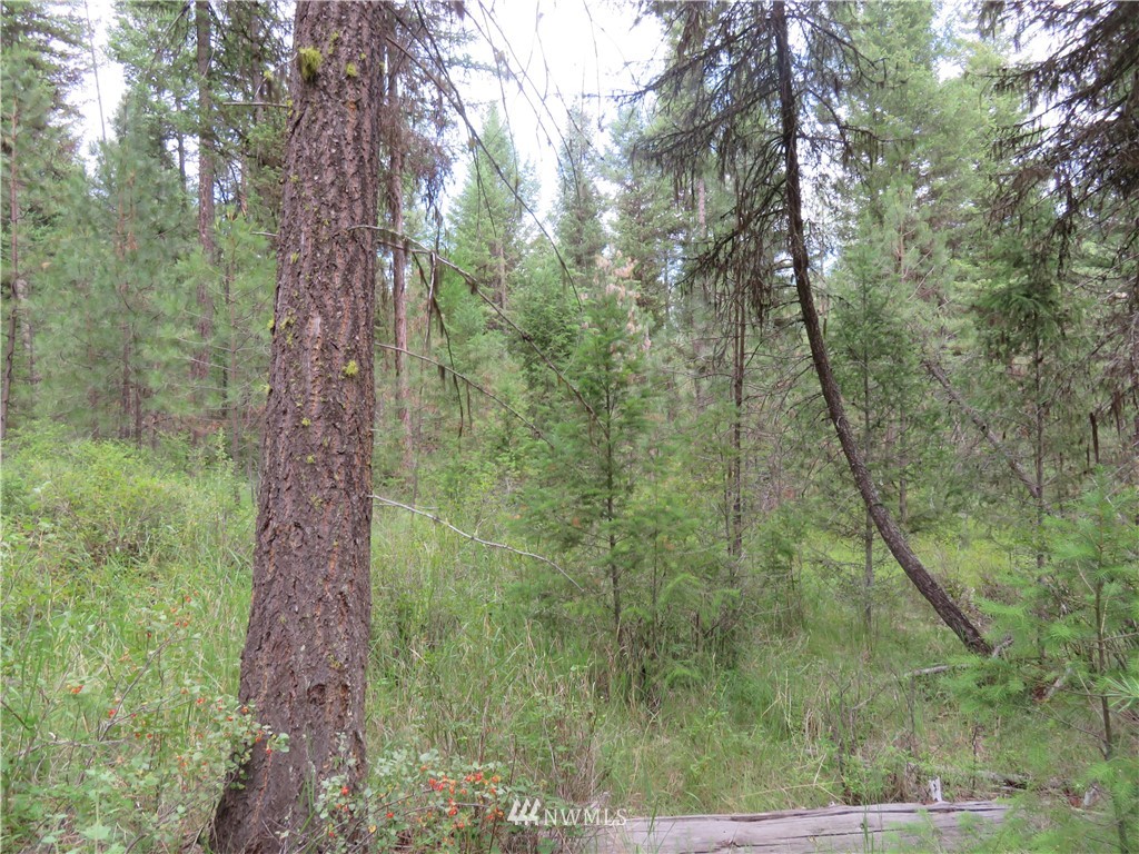 0 Old W Curlew Lake Road Republic, WA 99166 - Photo 22 of 22 Gallery Image 22