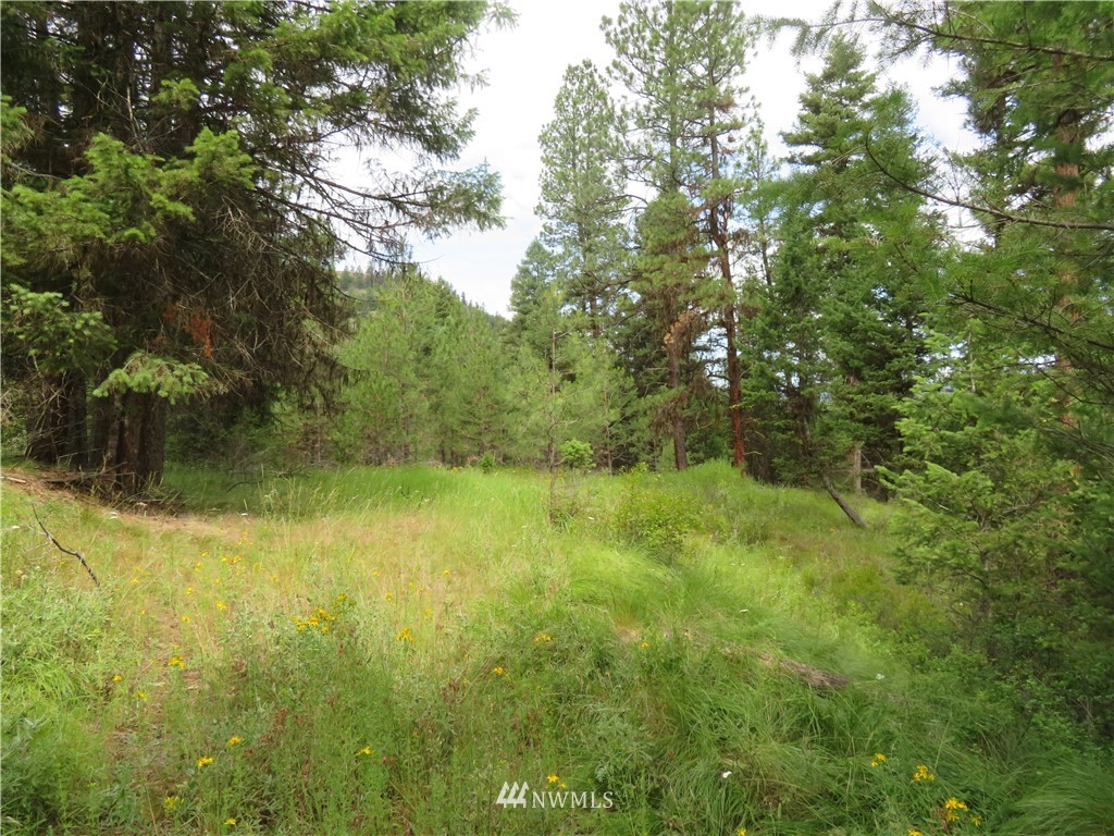 0 Old W Curlew Lake Road Republic, WA 99166 - Photo 5 of 22 Gallery Image 5
