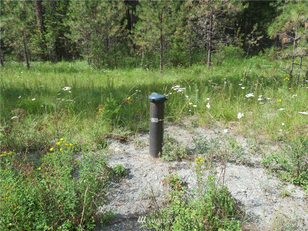 0 Old W Curlew Lake Road Republic, WA 99166 - Photo 6 of 22 Gallery Image 6