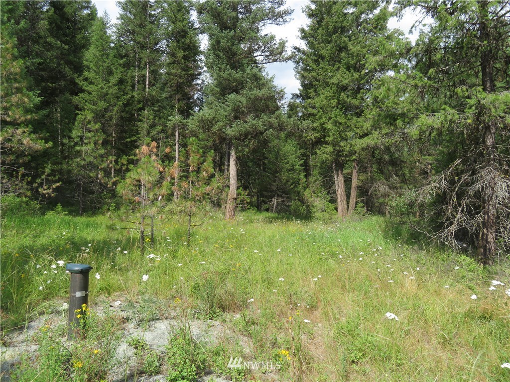 0 Old W Curlew Lake Road Republic, WA 99166 - Photo 10 of 22 Gallery Image 10