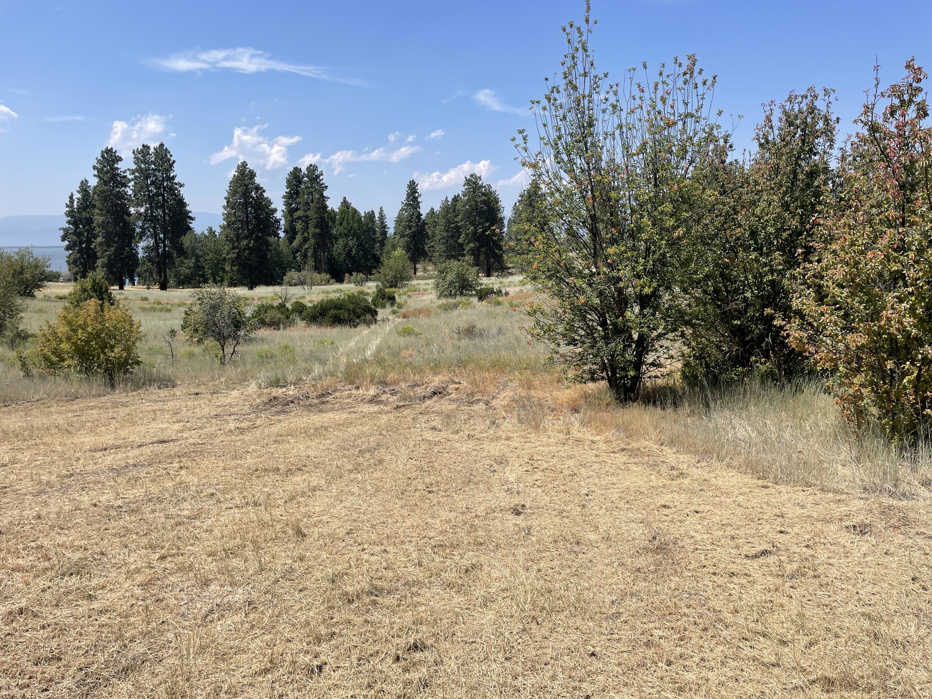Lot 37 Pleasant View Road Chiloquin, OR 97624 - Photo 41 of 57 IMG_8233