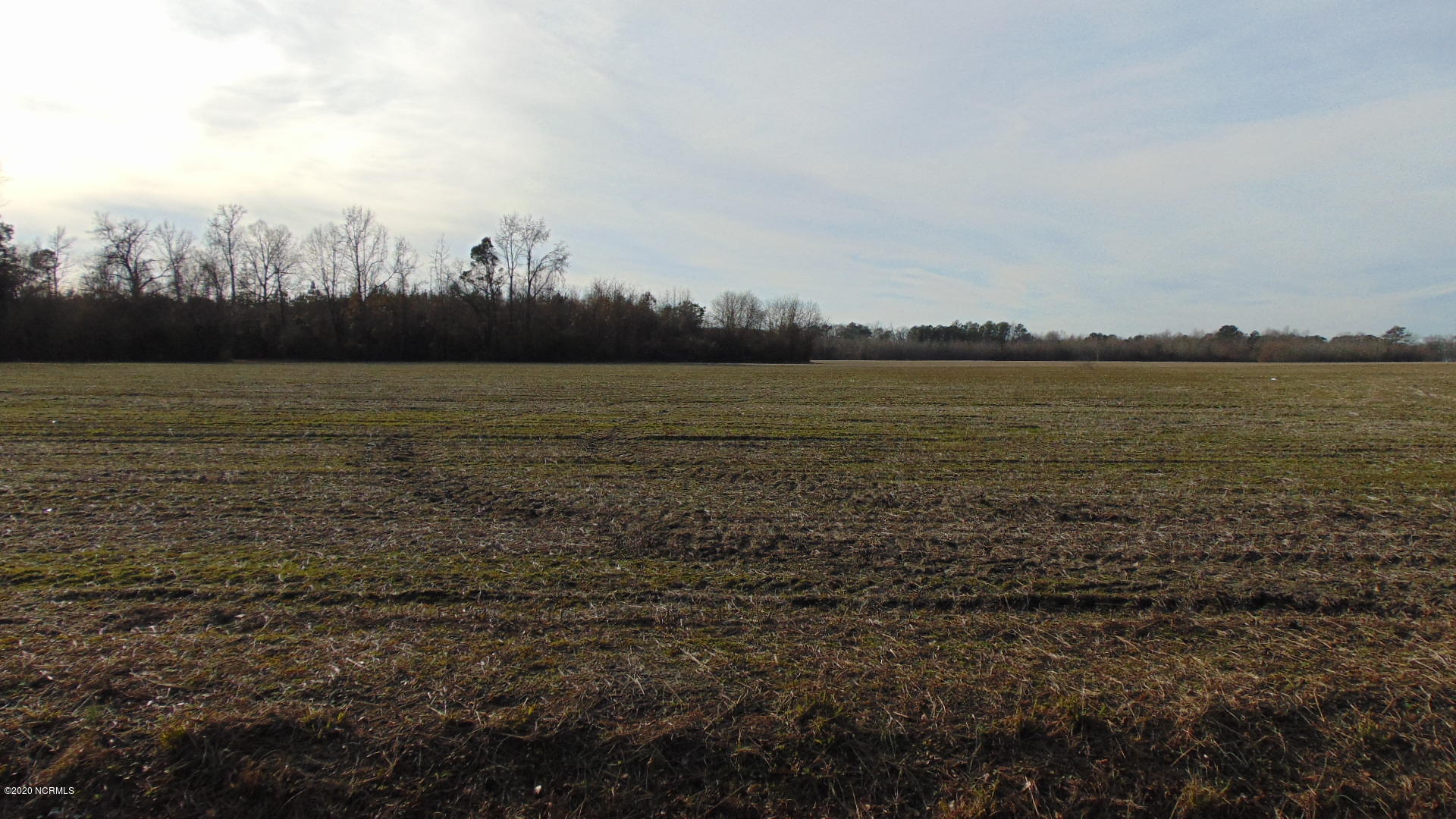 0 Spencer Road Fremont, NC 27830 - Photo 3 of 7 DSC03415