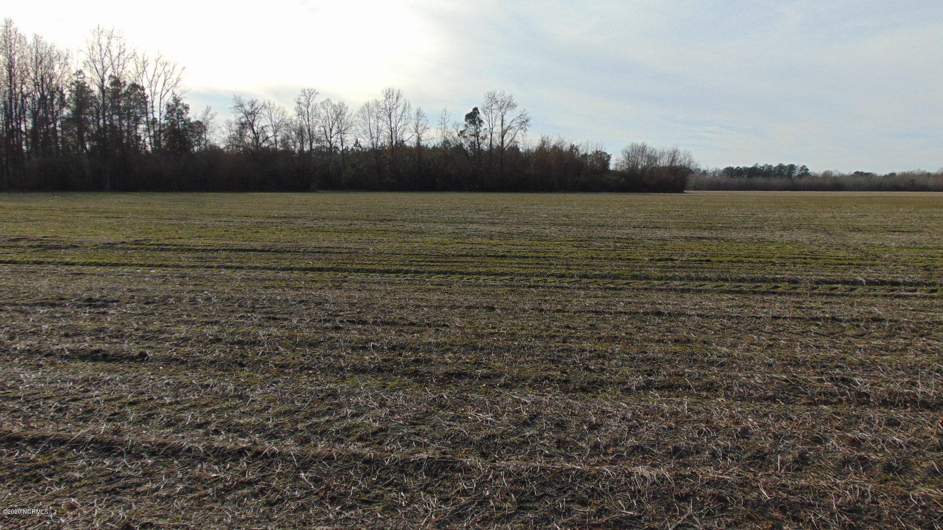 0 Spencer Road Fremont, NC 27830 - Photo 6 of 7 DSC03419