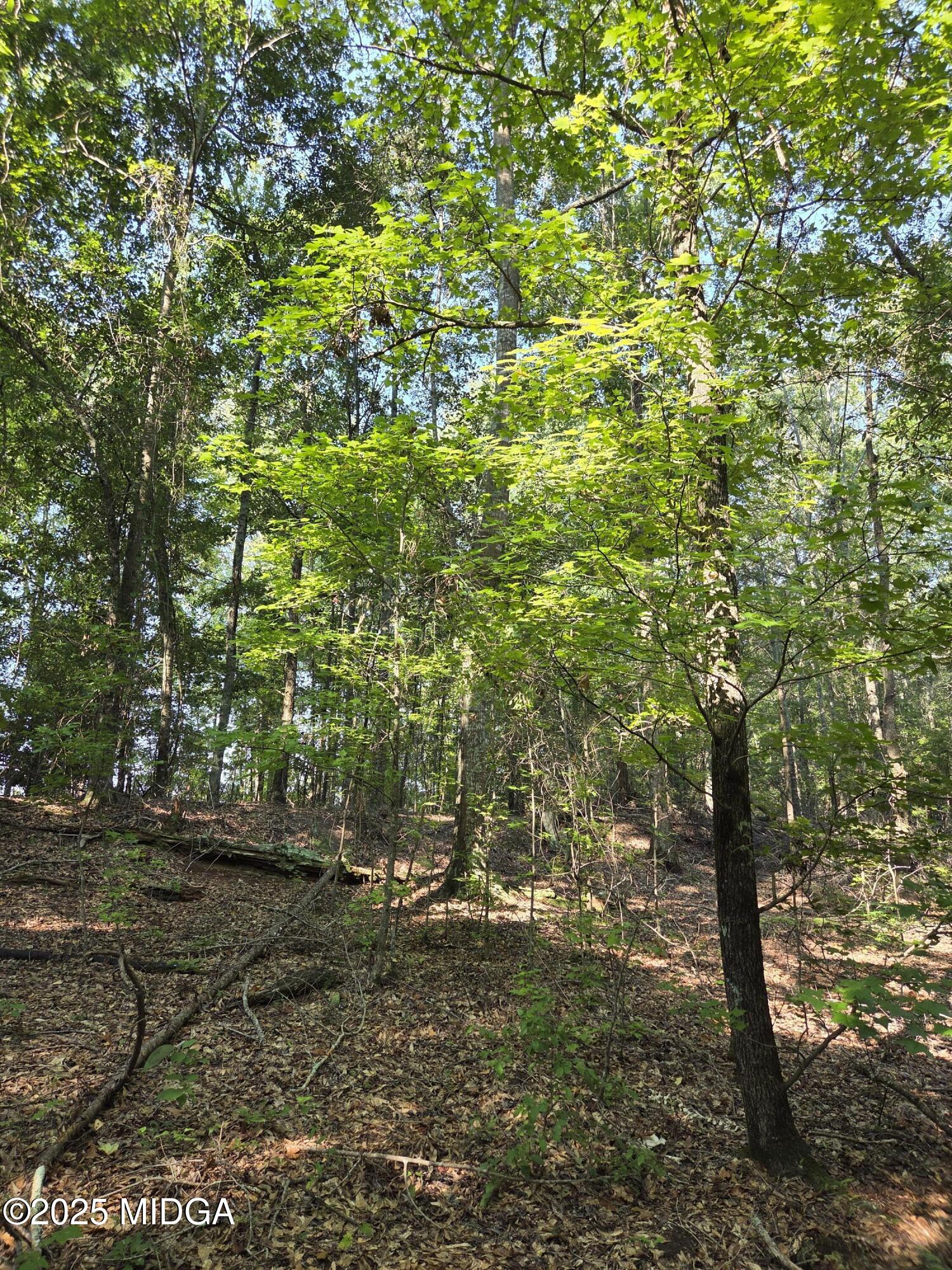 0 Highway 57 Macon, GA 31217 - Photo 1 of 23 a view of outdoor space and yard