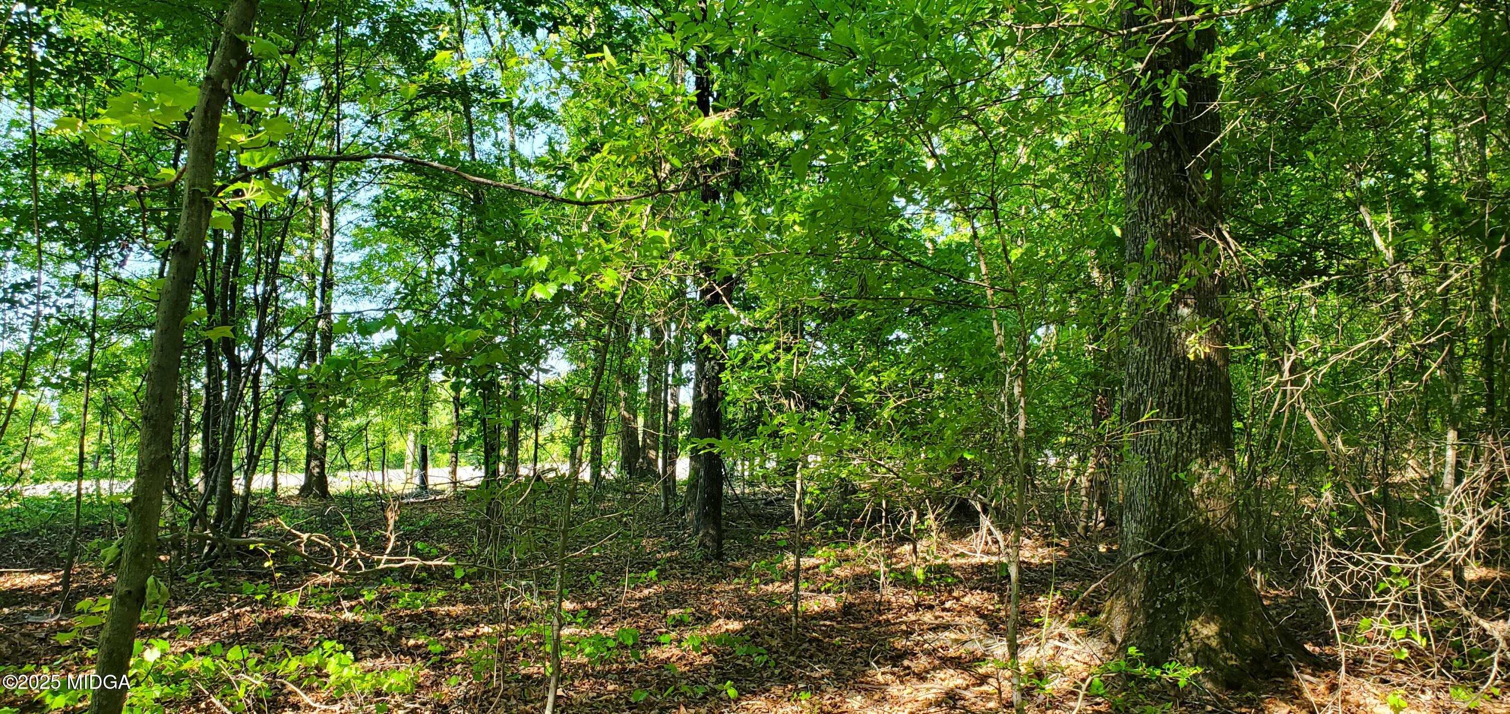 0 Highway 57 Macon, GA 31217 - Photo 14 of 23 a backyard of a house with lots of green space