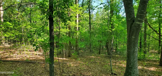 a view of lake from window