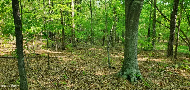 a view of outdoor space and trees